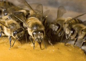 Screen shot 2014-06-09 at 3.34.25 PM