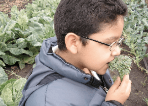 Screen shot 2014-06-09 at 3.51.49 PM