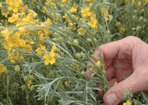 Screen shot 2014-06-09 at 4.00.38 PM