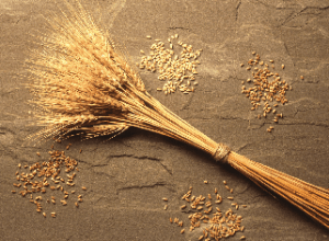 Screen shot 2014-06-09 at 4.24.57 PM