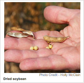 Screen shot 2014-06-09 at 4.34.43 PM