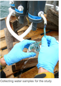 Screen shot 2014-06-09 at 4.40.33 PM